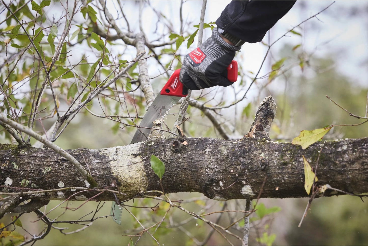 Milwaukee 35cm Curved Pruning Saw with Sheath