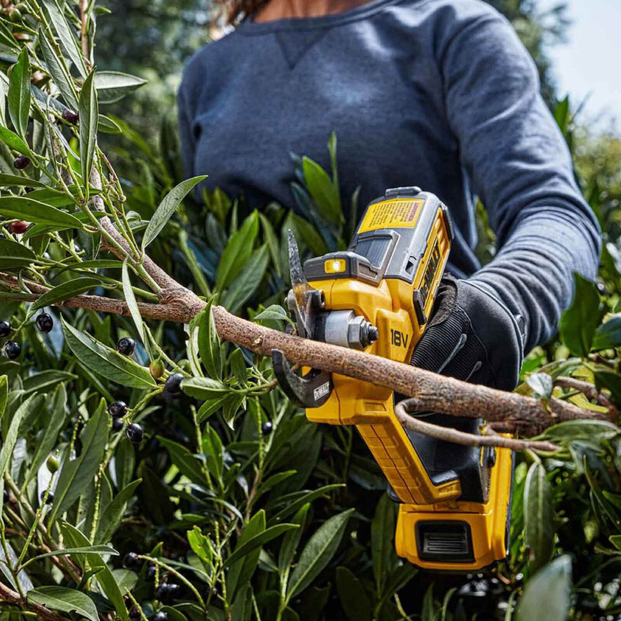 Tijera podadora de mano XR 18V con batería y cargador Dewalt DCMPP568P1